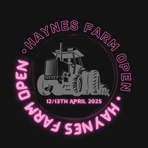 HFO 2025 take 2