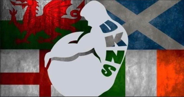 UKNS Southern Qualifier Logo