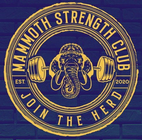 Blue & Gold Logo
