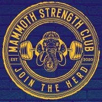 Blue & Gold Logo